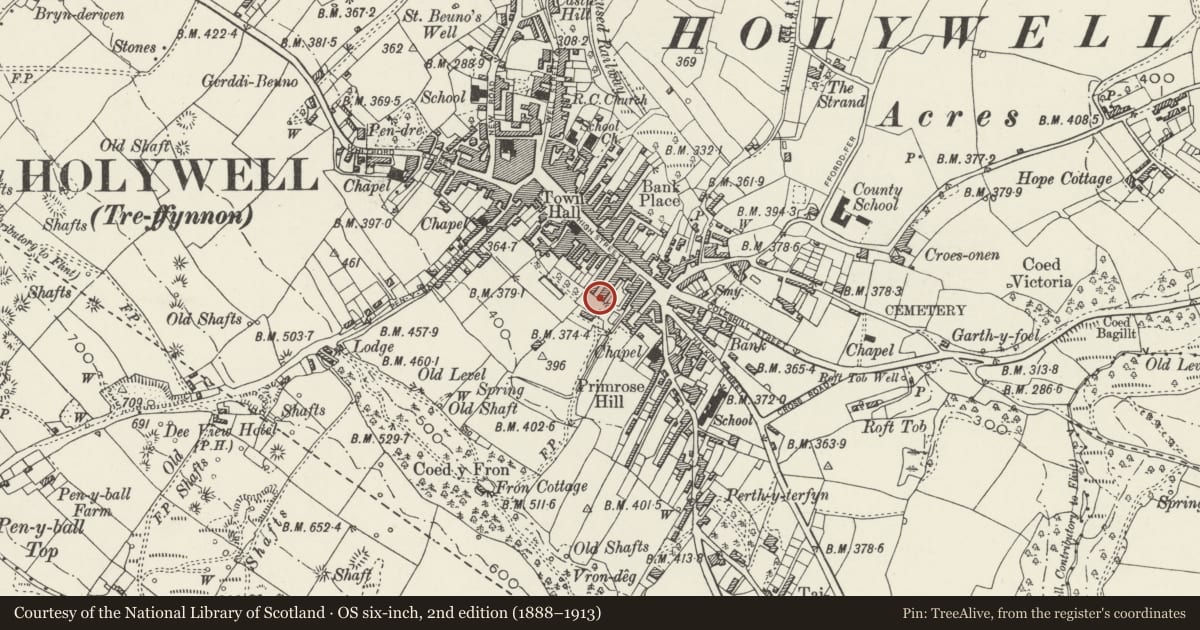 Ordnance Survey six-inch map, 2nd edition (1888–1913) covering the location of 13, Holywell, Flintshire, with a pin at the register's coordinates