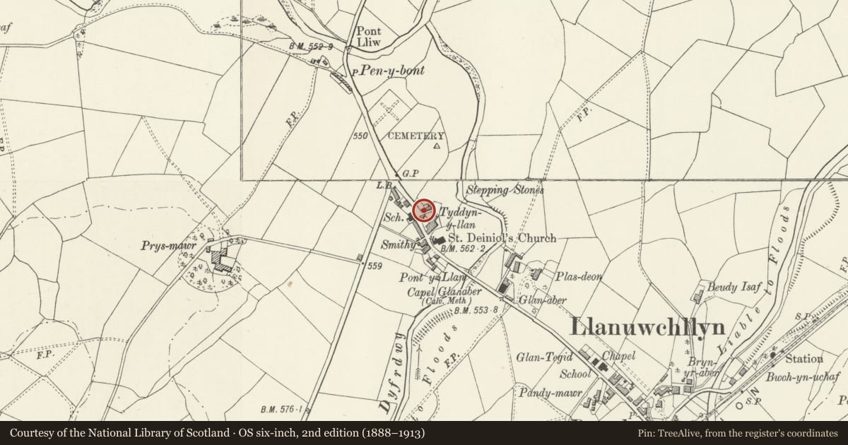 Ordnance Survey six-inch map, 2nd edition (1888–1913) covering the location of The Village Pump, Llanuwchllyn, Gwynedd, with a pin at the register's coordinates