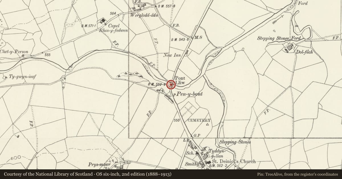 Ordnance Survey six-inch map, 2nd edition (1888–1913) covering the location of Pont Lliw, Llanuwchllyn, Gwynedd, with a pin at the register's coordinates