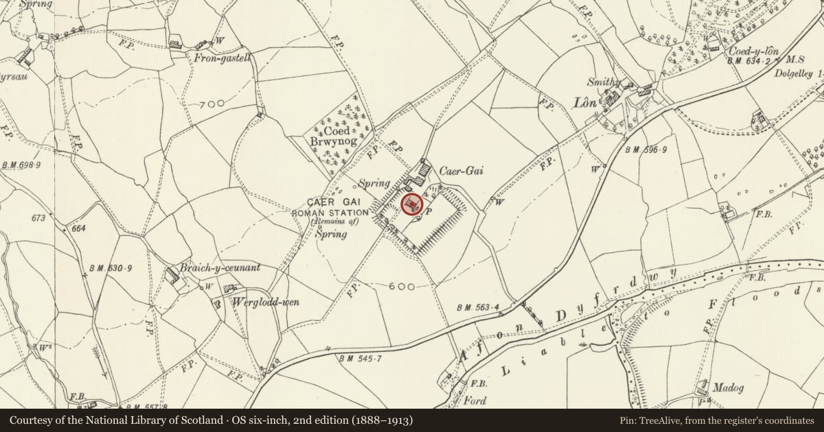 Ordnance Survey six-inch map, 2nd edition (1888–1913) covering the location of Caer Gai, including adjoining forecourt walls to the NE, Llanuwchllyn, Gwynedd, with a pin at the register's coordinates
