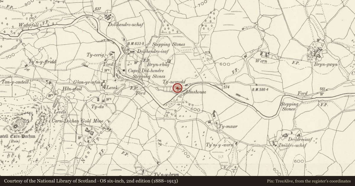 Ordnance Survey six-inch map, 2nd edition (1888–1913) covering the location of 1-6 Glanlliw, including associated coal stores to E and W, Llanuwchllyn, Gwynedd, with a pin at the register's coordinates