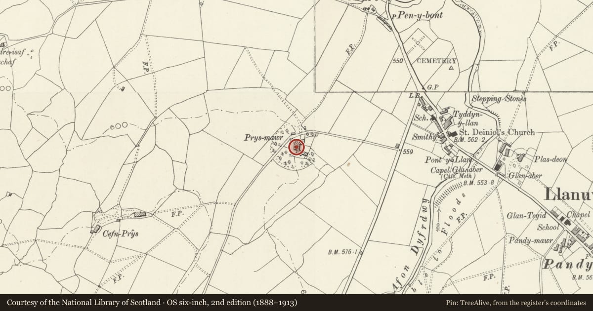 Ordnance Survey six-inch map, 2nd edition (1888–1913) covering the location of Prys Mawr, Llanuwchllyn, Gwynedd, with a pin at the register's coordinates