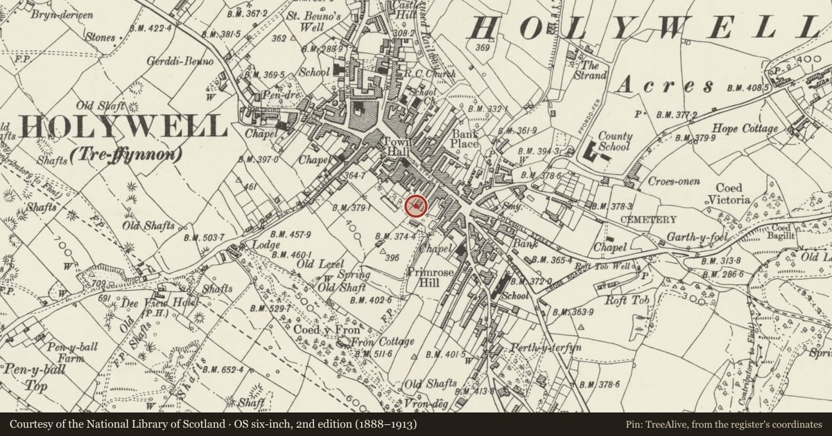 Ordnance Survey six-inch map, 2nd edition (1888–1913) covering the location of 14, Holywell, Flintshire, with a pin at the register's coordinates