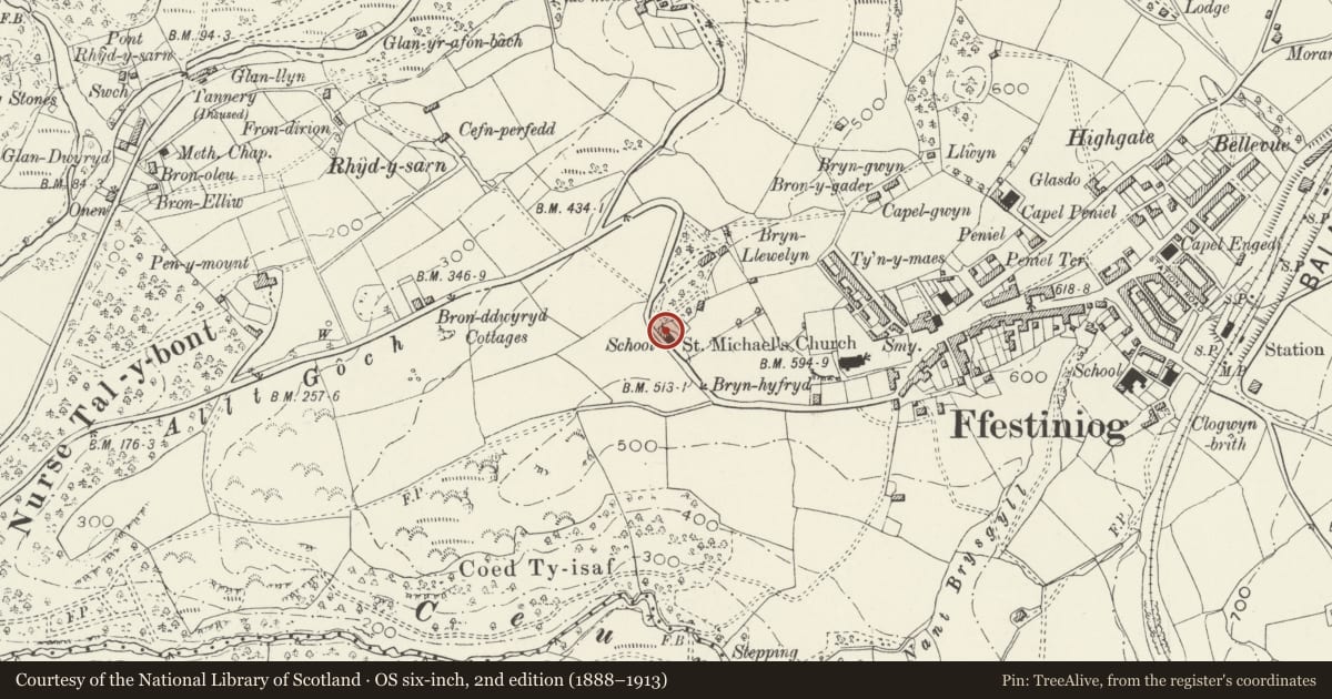 Ordnance Survey six-inch map, 2nd edition (1888–1913) covering the location of Penralltgoch, Ffestiniog, Gwynedd, with a pin at the register's coordinates