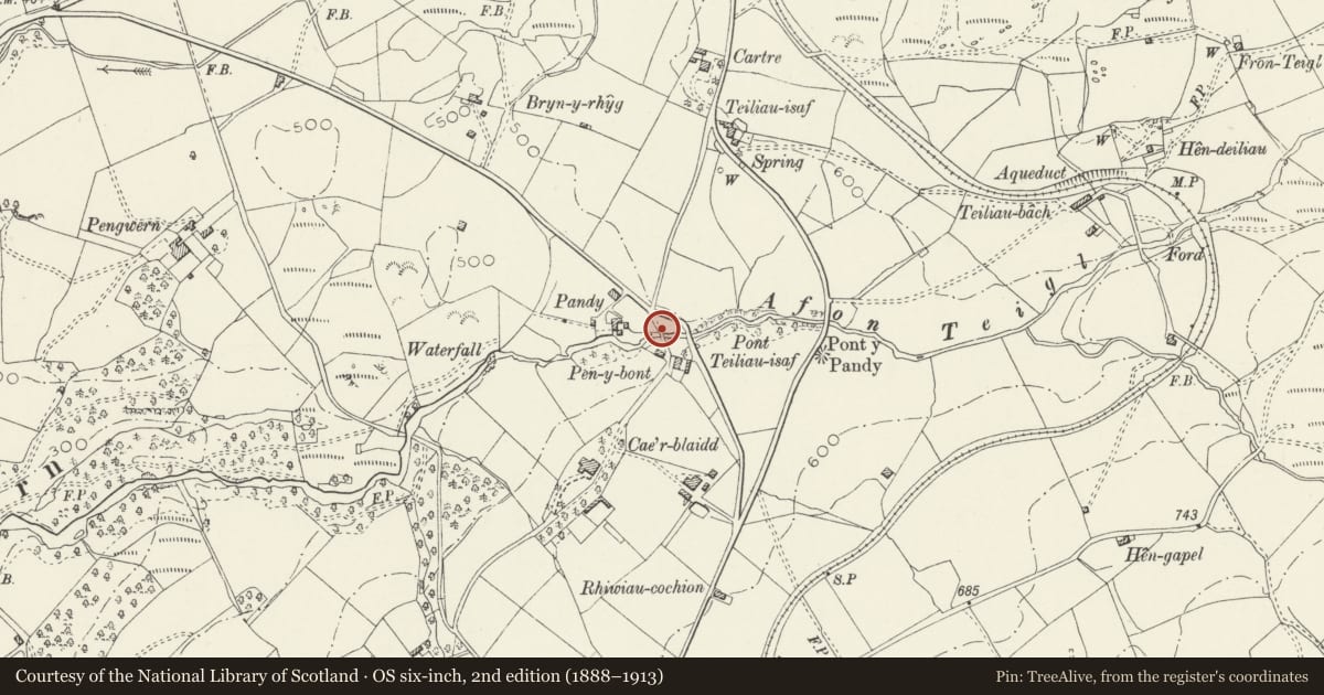 Ordnance Survey six-inch map, 2nd edition (1888–1913) covering the location of Bridge c200m W of Pont y Pandy, Ffestiniog, Gwynedd, with a pin at the register's coordinates