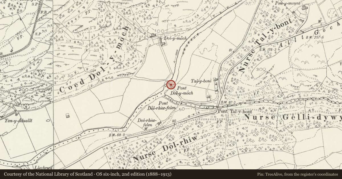 Ordnance Survey six-inch map, 2nd edition (1888–1913) covering the location of Pont Dol-y-Moch (partly in Maentwrog), Ffestiniog, Gwynedd, with a pin at the register's coordinates