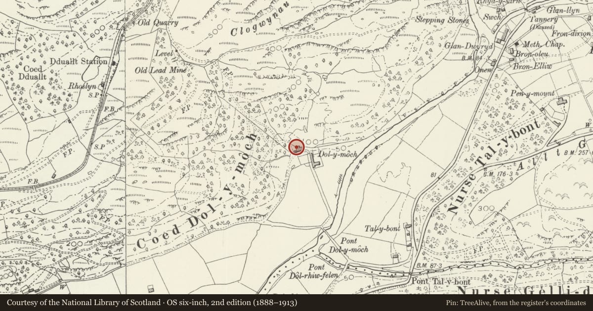 Ordnance Survey six-inch map, 2nd edition (1888–1913) covering the location of Plas Dol-y-moch, Maentwrog, Gwynedd, with a pin at the register's coordinates