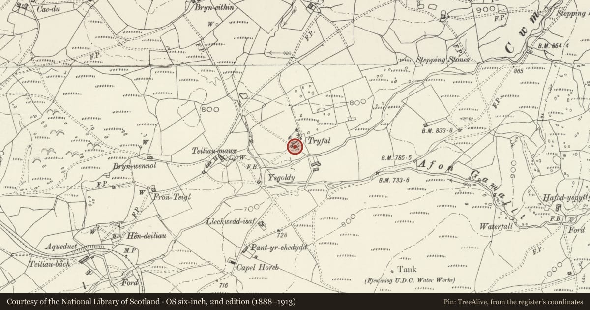 Ordnance Survey six-inch map, 2nd edition (1888–1913) covering the location of Tryfal Farmhouse, Ffestiniog, Gwynedd, with a pin at the register's coordinates