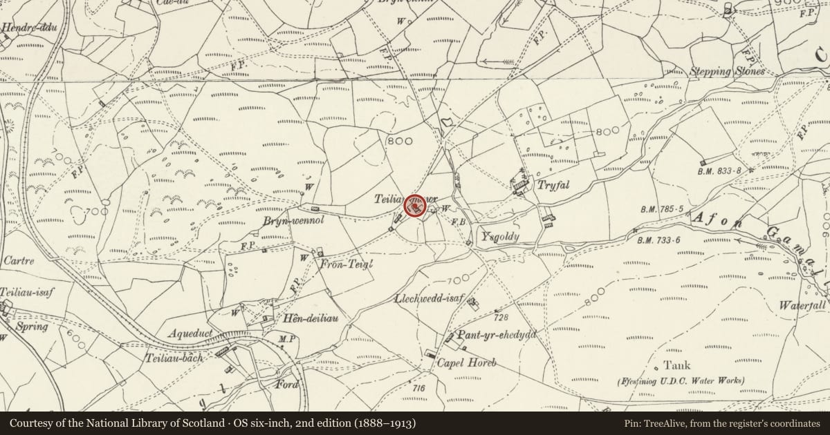 Ordnance Survey six-inch map, 2nd edition (1888–1913) covering the location of Teilia Mawr, Ffestiniog, Gwynedd, with a pin at the register's coordinates