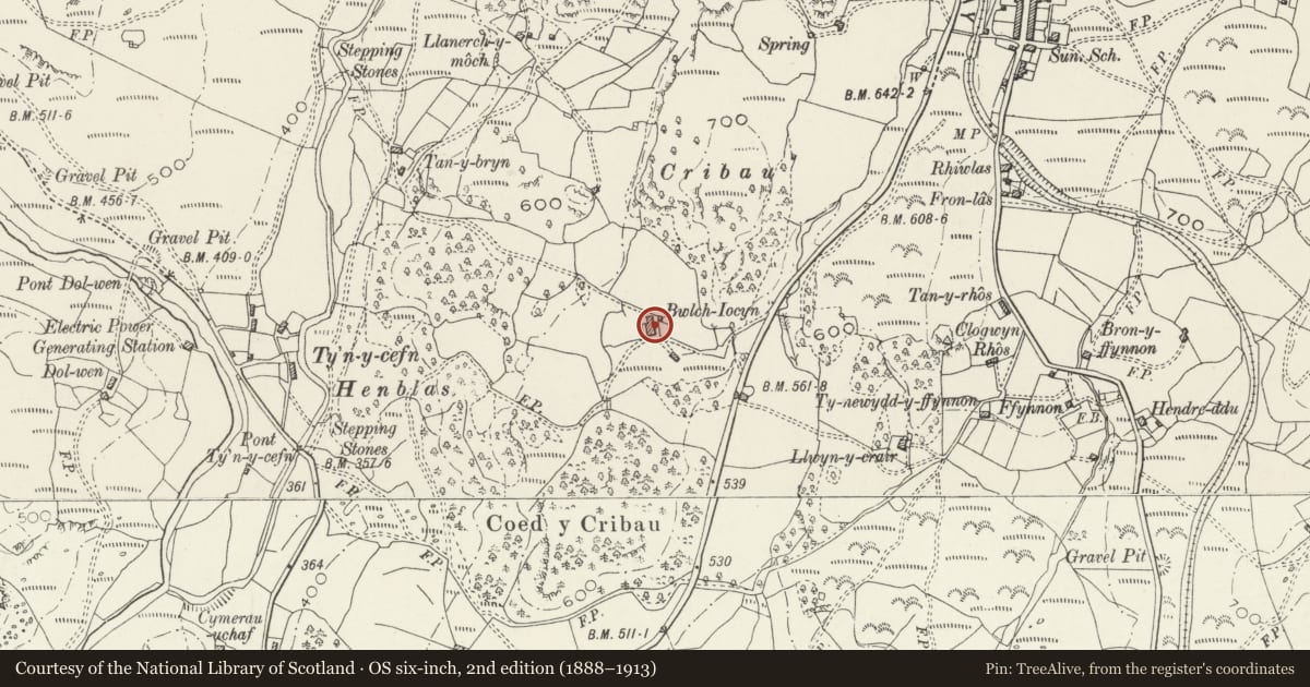 Ordnance Survey six-inch map, 2nd edition (1888–1913) covering the location of Bwlch-Iocyn, Ffestiniog, Gwynedd, with a pin at the register's coordinates