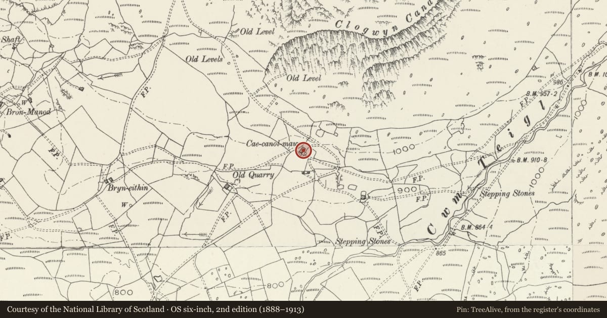Ordnance Survey six-inch map, 2nd edition (1888–1913) covering the location of Cae Canol Mawr, Ffestiniog, Gwynedd, with a pin at the register's coordinates