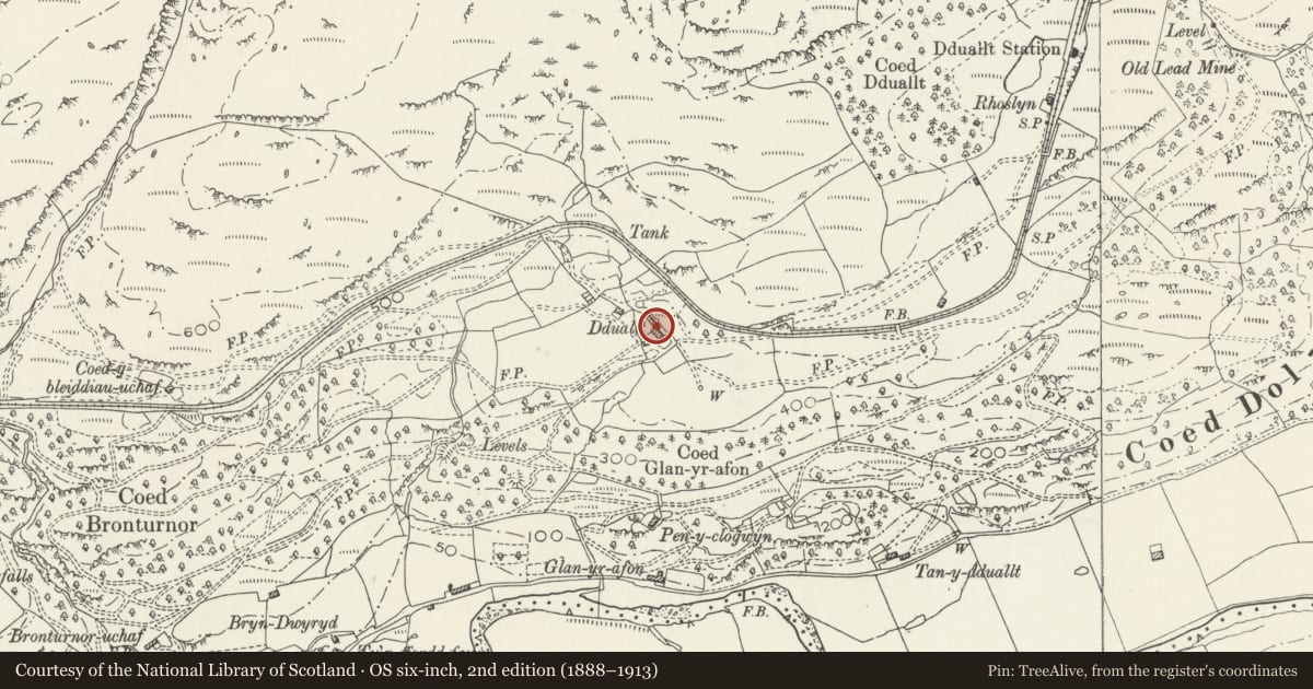 Ordnance Survey six-inch map, 2nd edition (1888–1913) covering the location of Dduallt (also known as Plas y Dduallt), Maentwrog, Gwynedd, with a pin at the register's coordinates