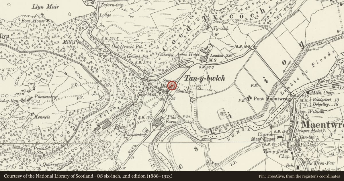 Ordnance Survey six-inch map, 2nd edition (1888–1913) covering the location of Former kiln house at Tan-y-bwlch mill, Maentwrog, Gwynedd, with a pin at the register's coordinates