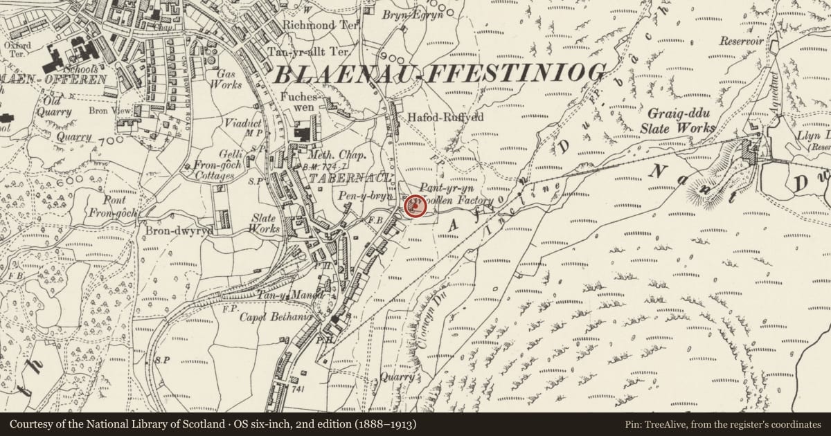 Ordnance Survey six-inch map, 2nd edition (1888–1913) covering the location of Pant-yr-Ynn Mill, Ffestiniog, Gwynedd, with a pin at the register's coordinates