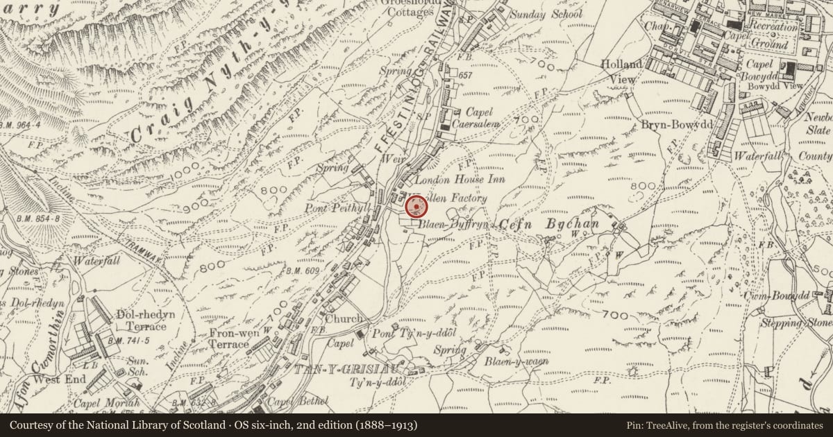 Ordnance Survey six-inch map, 2nd edition (1888–1913) covering the location of Moelwyn Mill, Ffestiniog, Gwynedd, with a pin at the register's coordinates