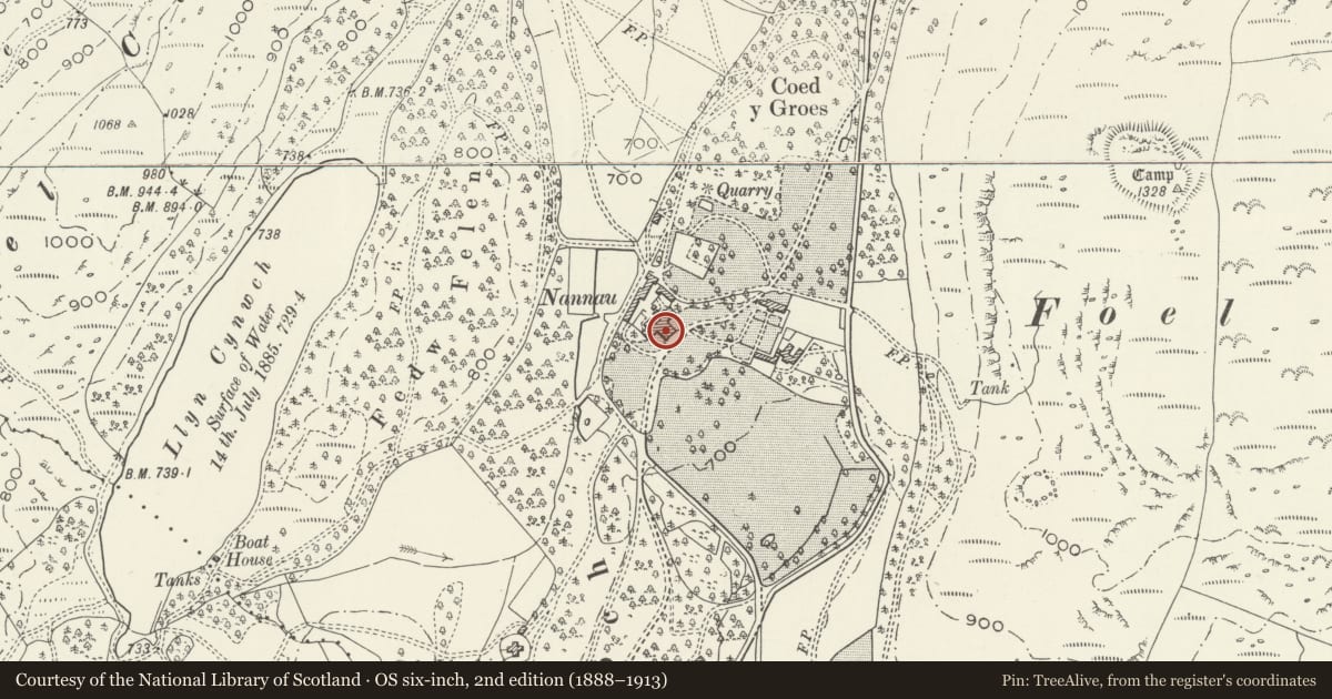 Ordnance Survey six-inch map, 2nd edition (1888–1913) covering the location of Nannau, Brithdir and Llanfachreth, Gwynedd, with a pin at the register's coordinates