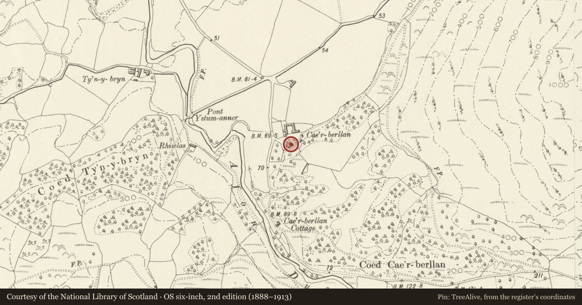 Ordnance Survey six-inch map, 2nd edition (1888–1913) covering the location of Cae'r Berllan, Llanfihangel-y-Pennant, Gwynedd, with a pin at the register's coordinates