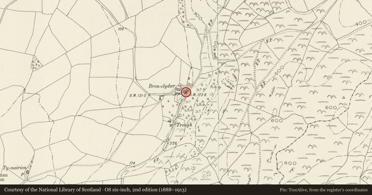 Ordnance Survey six-inch map, 2nd edition (1888–1913) covering the location of Bron Clydwr, Llangelynin, Gwynedd, with a pin at the register's coordinates