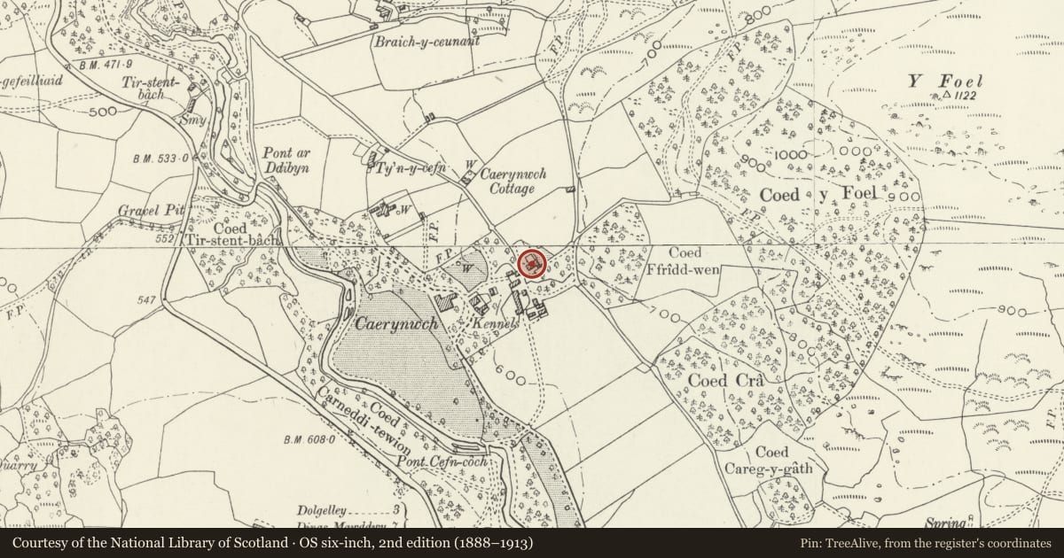 Ordnance Survey six-inch map, 2nd edition (1888–1913) covering the location of Plas Hen, Brithdir and Llanfachreth, Gwynedd, with a pin at the register's coordinates