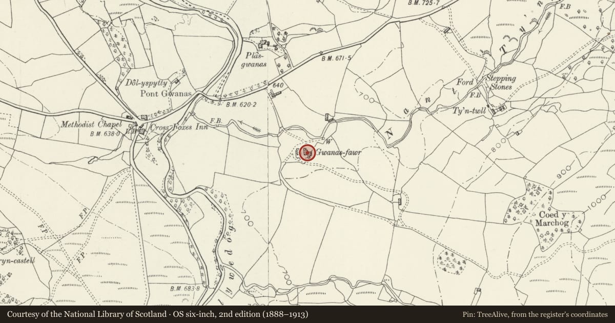 Ordnance Survey six-inch map, 2nd edition (1888–1913) covering the location of Gwana Fawr, Brithdir and Llanfachreth, Gwynedd, with a pin at the register's coordinates