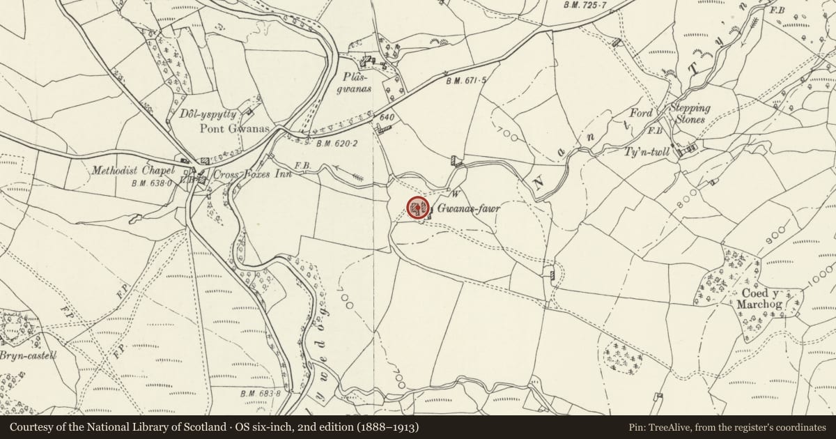 Ordnance Survey six-inch map, 2nd edition (1888–1913) covering the location of Barn at Gwanas Fawr, Brithdir and Llanfachreth, Gwynedd, with a pin at the register's coordinates