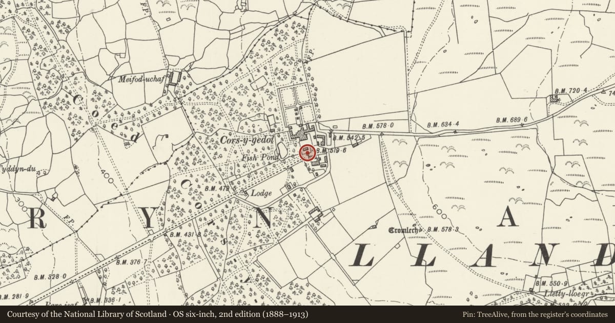 Ordnance Survey six-inch map, 2nd edition (1888–1913) covering the location of Gatepiers and walling at Cors y Gedol Hall, Dyffryn Ardudwy, Gwynedd, with a pin at the register's coordinates