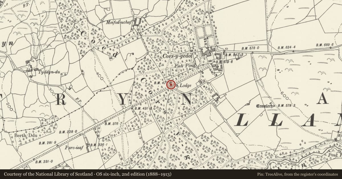 Ordnance Survey six-inch map, 2nd edition (1888–1913) covering the location of Gatepiers adjacent to Upper Lodge of Cors y Gedol Hall, Dyffryn Ardudwy, Gwynedd, with a pin at the register's coordinates