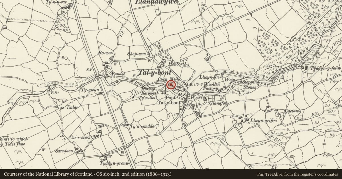 Ordnance Survey six-inch map, 2nd edition (1888–1913) covering the location of Tal-y-bont Mill, Dyffryn Ardudwy, Gwynedd, with a pin at the register's coordinates