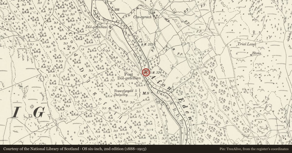 Ordnance Survey six-inch map, 2nd edition (1888–1913) covering the location of Pont Dol-Gefeliau, Ganllwyd, Gwynedd, with a pin at the register's coordinates
