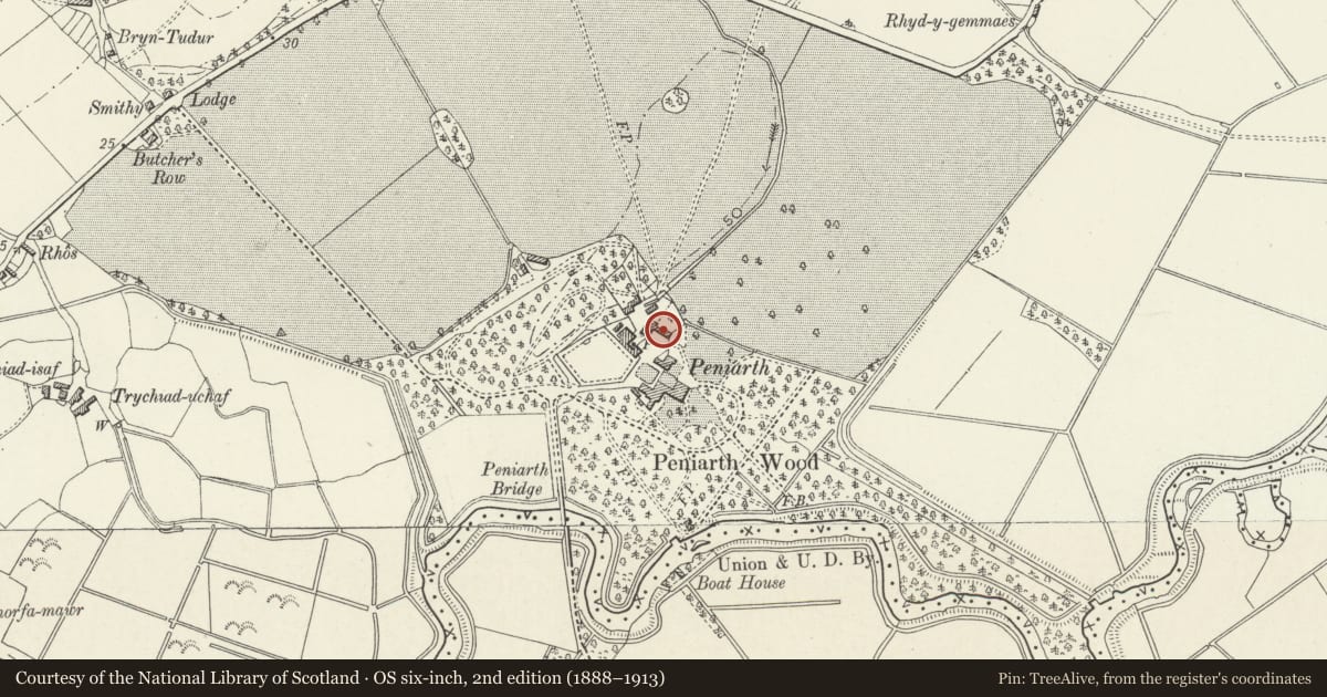Ordnance Survey six-inch map, 2nd edition (1888–1913) covering the location of Service yard range of buildings at Peniarth, Llanegryn, Gwynedd, with a pin at the register's coordinates