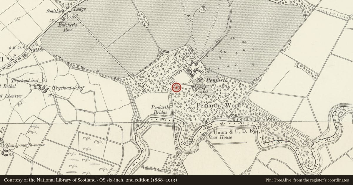 Ordnance Survey six-inch map, 2nd edition (1888–1913) covering the location of Gate piers at the W driveway to Peniarth, Llanegryn, Gwynedd, with a pin at the register's coordinates
