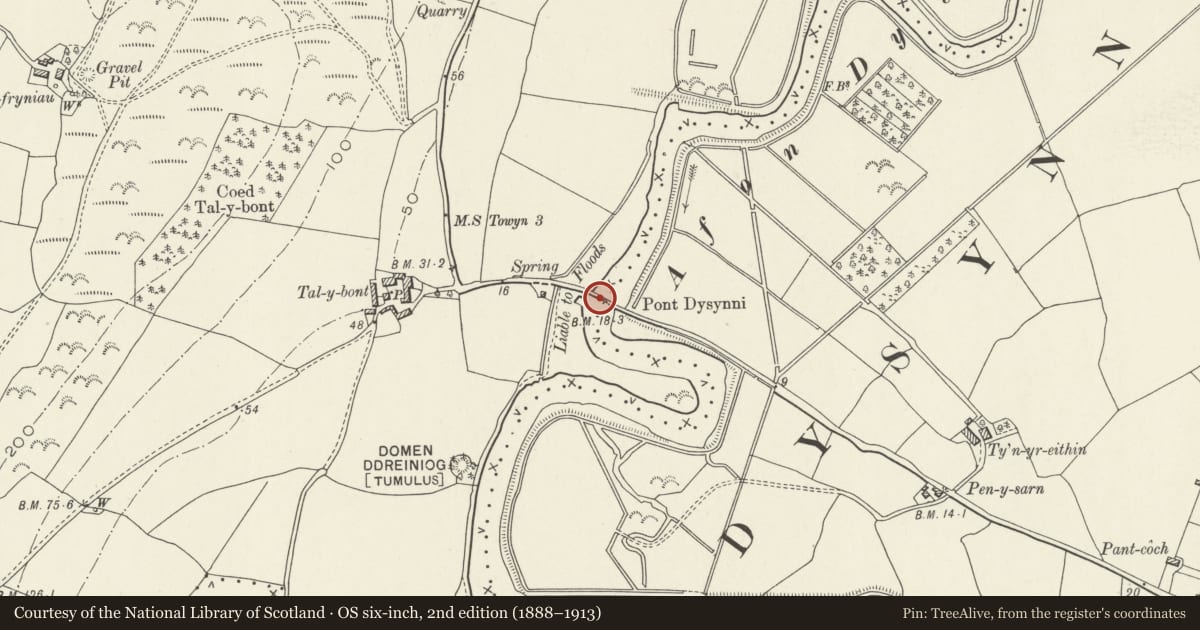 Ordnance Survey six-inch map, 2nd edition (1888–1913) covering the location of Pont Dysynni (partly in Bryn Crug community), Llanegryn, Gwynedd, with a pin at the register's coordinates