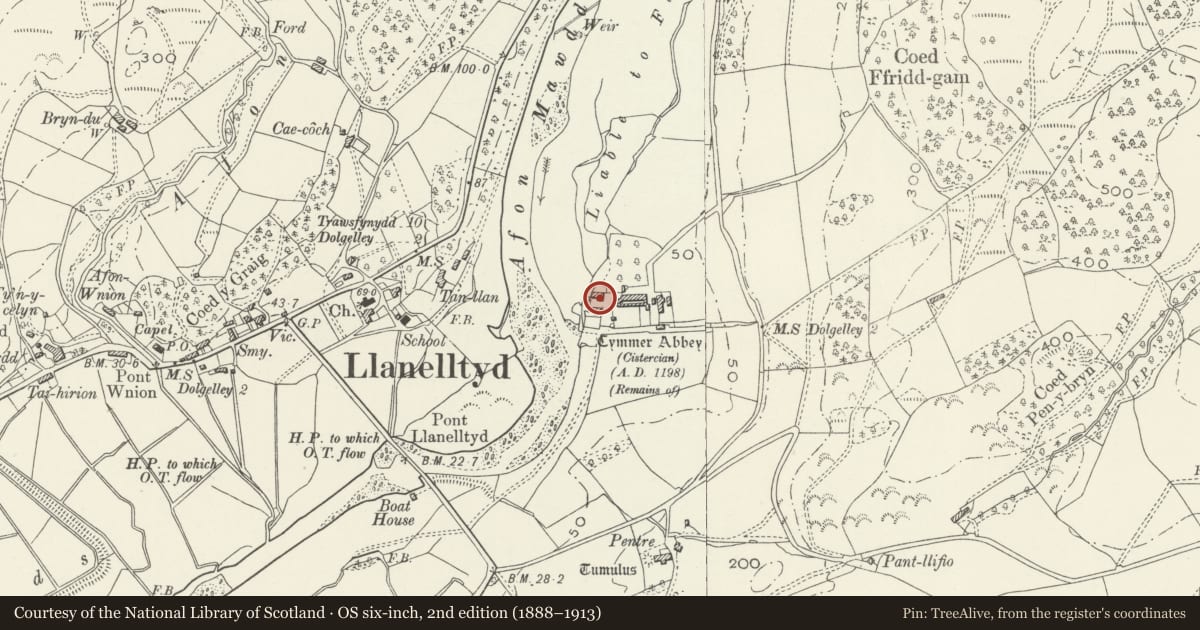 Ordnance Survey six-inch map, 2nd edition (1888–1913) covering the location of Ty Fanner, Llanelltyd, Gwynedd, with a pin at the register's coordinates