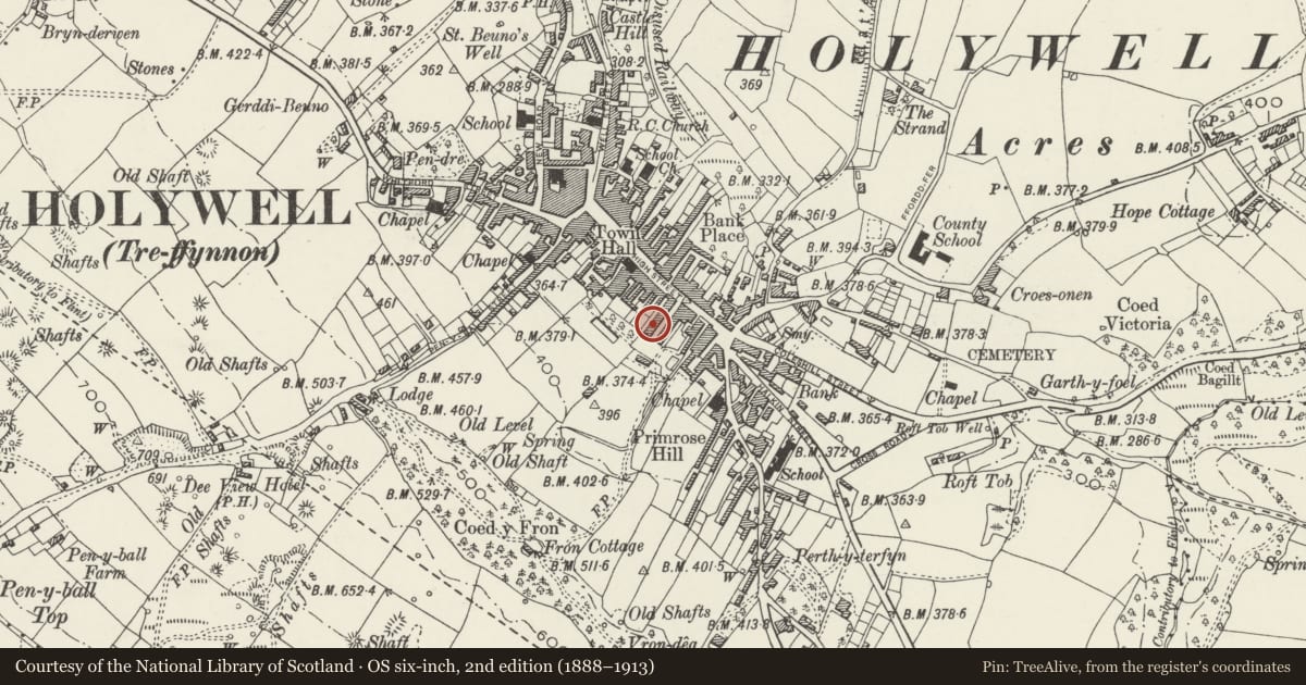 Ordnance Survey six-inch map, 2nd edition (1888–1913) covering the location of 19 Panton Place, Holywell, Flintshire, with a pin at the register's coordinates