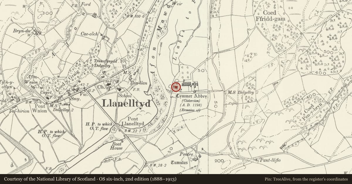 Ordnance Survey six-inch map, 2nd edition (1888–1913) covering the location of Former Domestic Range to the S of Ty Fanner, Llanelltyd, Gwynedd, with a pin at the register's coordinates