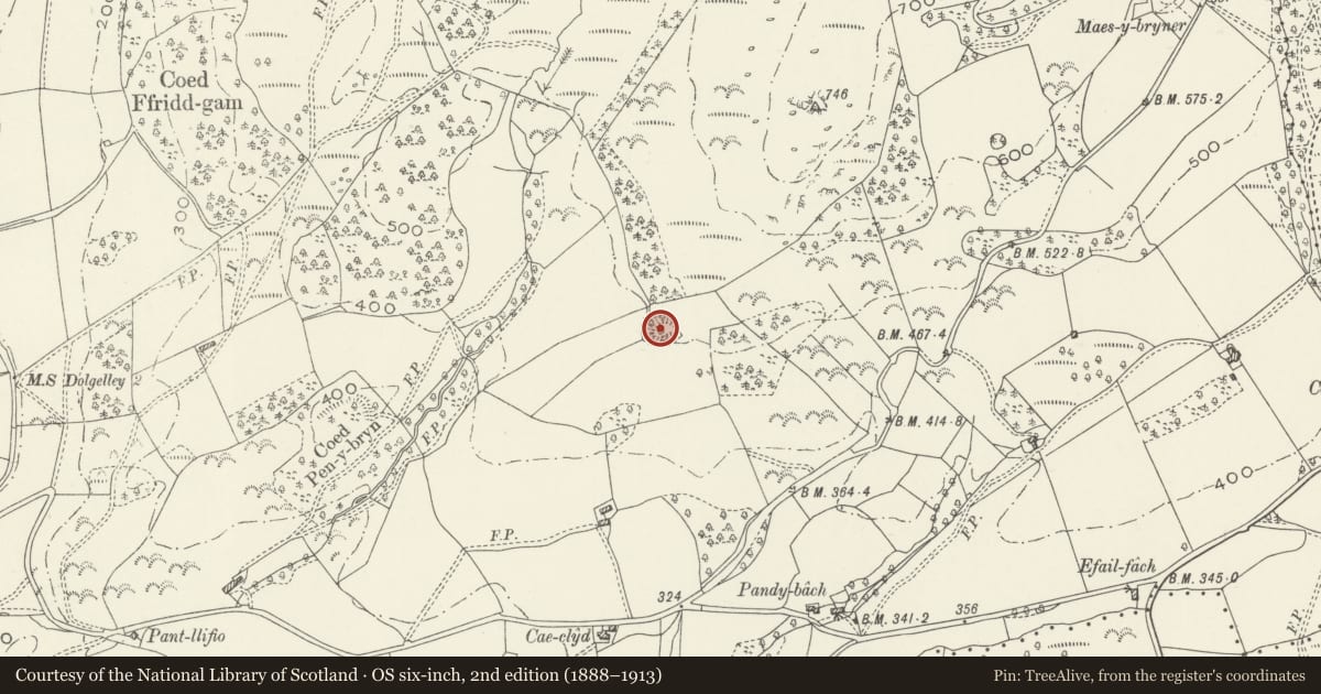 Ordnance Survey six-inch map, 2nd edition (1888–1913) covering the location of Cymmer Castle, Llanelltyd, Gwynedd, with a pin at the register's coordinates