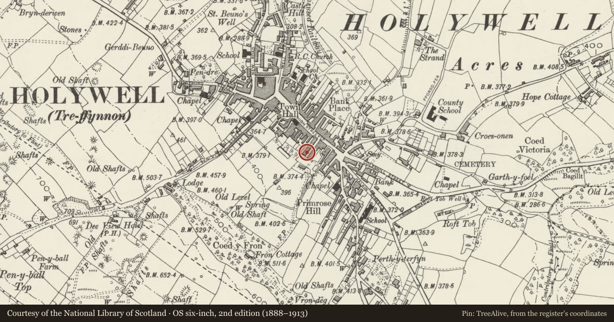 Ordnance Survey six-inch map, 2nd edition (1888–1913) covering the location of 20 Panton Place, Holywell, Flintshire, with a pin at the register's coordinates
