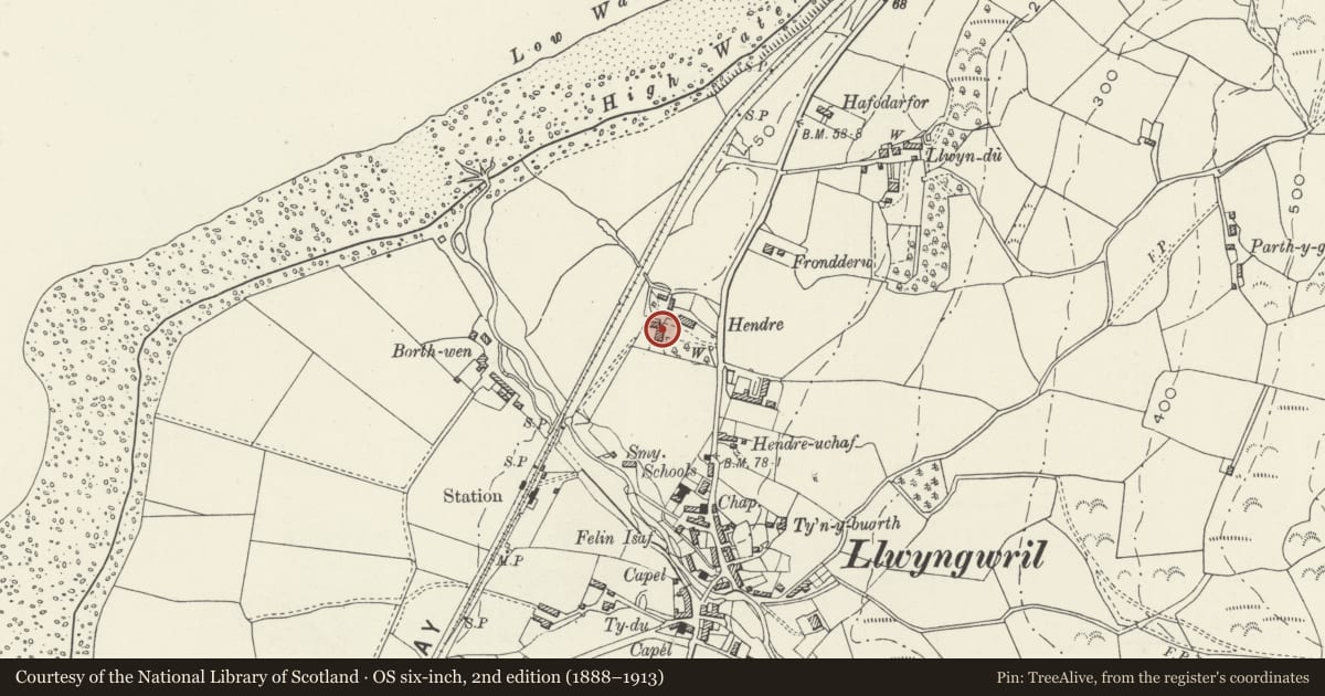 Ordnance Survey six-inch map, 2nd edition (1888–1913) covering the location of Hendre, Llangelynin, Gwynedd, with a pin at the register's coordinates