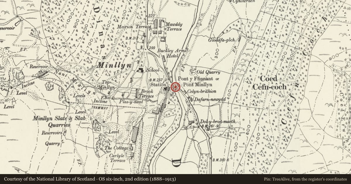 Ordnance Survey six-inch map, 2nd edition (1888–1913) covering the location of Pont Minllyn, Mawddwy, Gwynedd, with a pin at the register's coordinates