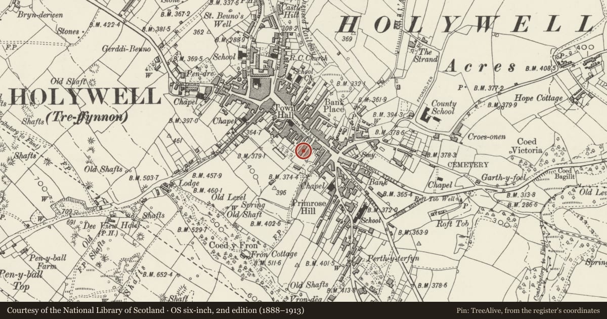 Ordnance Survey six-inch map, 2nd edition (1888–1913) covering the location of 21 Panton Place, Holywell, Flintshire, with a pin at the register's coordinates