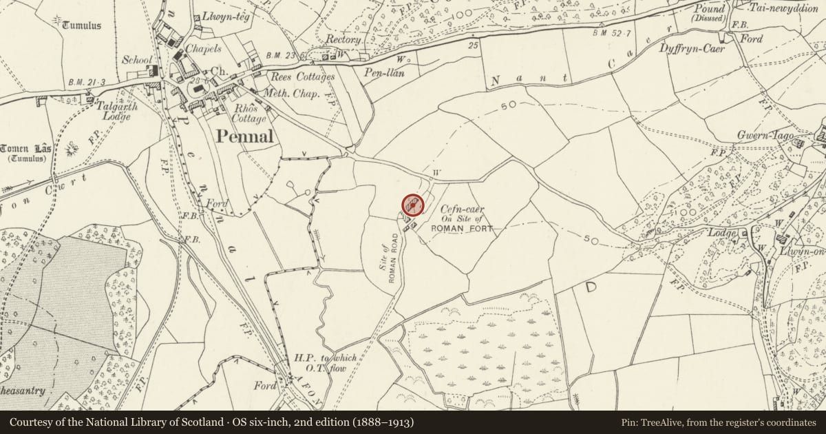 Ordnance Survey six-inch map, 2nd edition (1888–1913) covering the location of Cefn-caer, Pennal, Gwynedd, with a pin at the register's coordinates