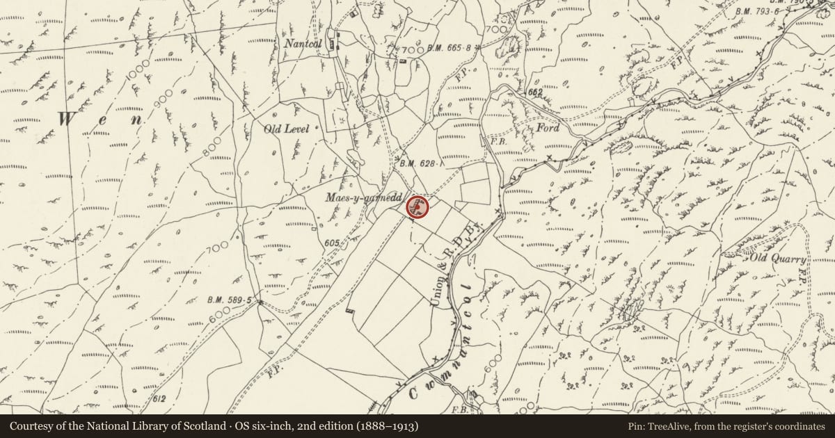 Ordnance Survey six-inch map, 2nd edition (1888–1913) covering the location of Maes-y-garnedd, Llanbedr, Gwynedd, with a pin at the register's coordinates