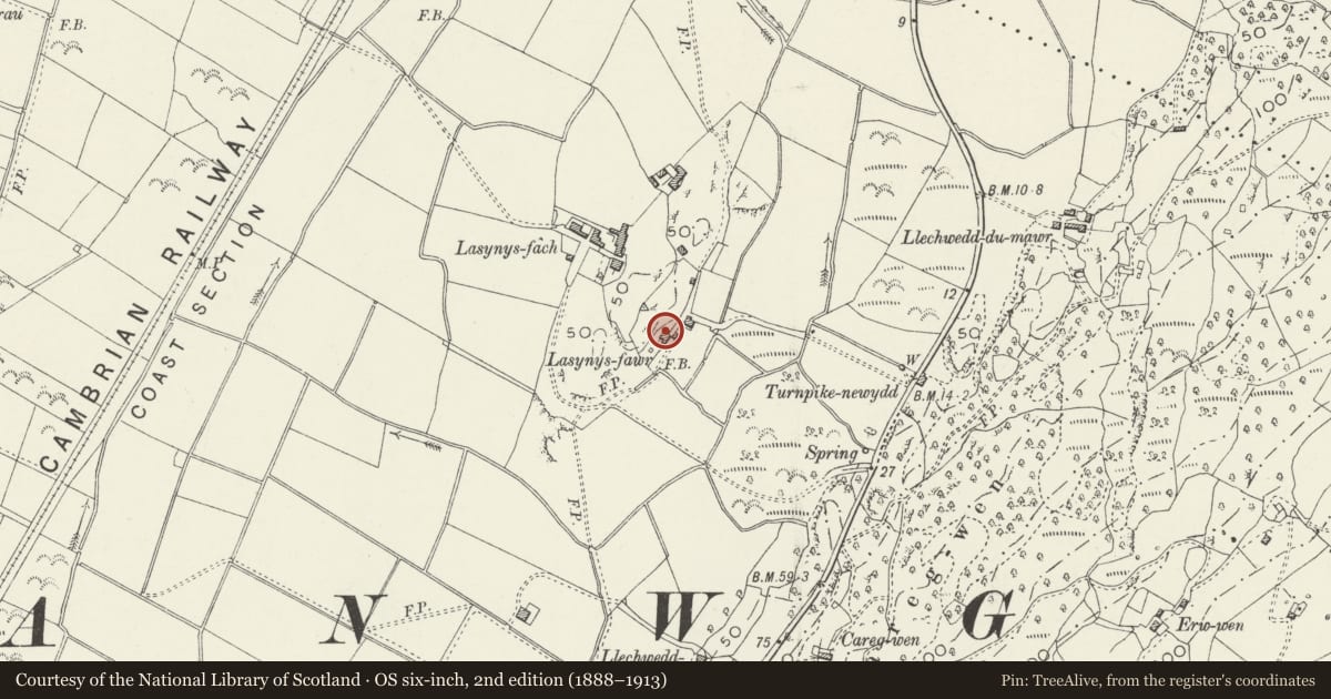 Ordnance Survey six-inch map, 2nd edition (1888–1913) covering the location of Y Lasynys Fawr including Brewhouse Block and Revettment Wall, Harlech, Gwynedd, with a pin at the register's coordinates