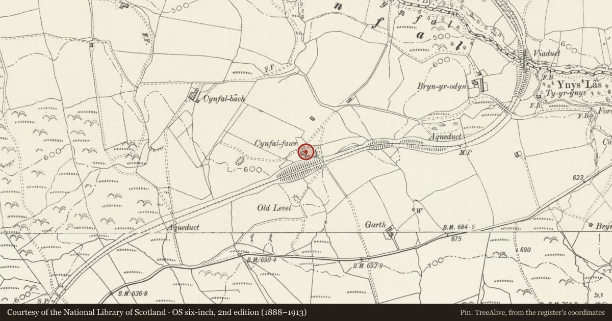 Ordnance Survey six-inch map, 2nd edition (1888–1913) covering the location of Cynfal-fawr, Maentwrog, Gwynedd, with a pin at the register's coordinates