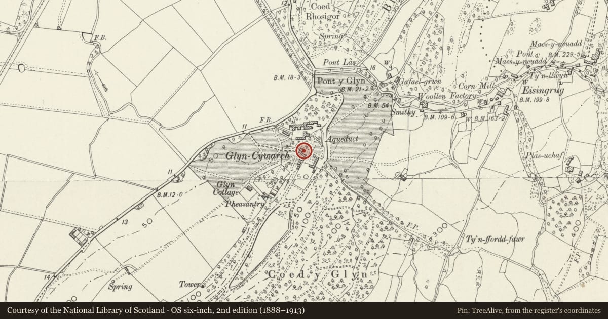 Ordnance Survey six-inch map, 2nd edition (1888–1913) covering the location of Glyn Cywarch, Talsarnau, Gwynedd, with a pin at the register's coordinates