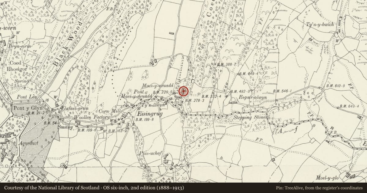 Ordnance Survey six-inch map, 2nd edition (1888–1913) covering the location of Maes-y-neuadd, Talsarnau, Gwynedd, with a pin at the register's coordinates