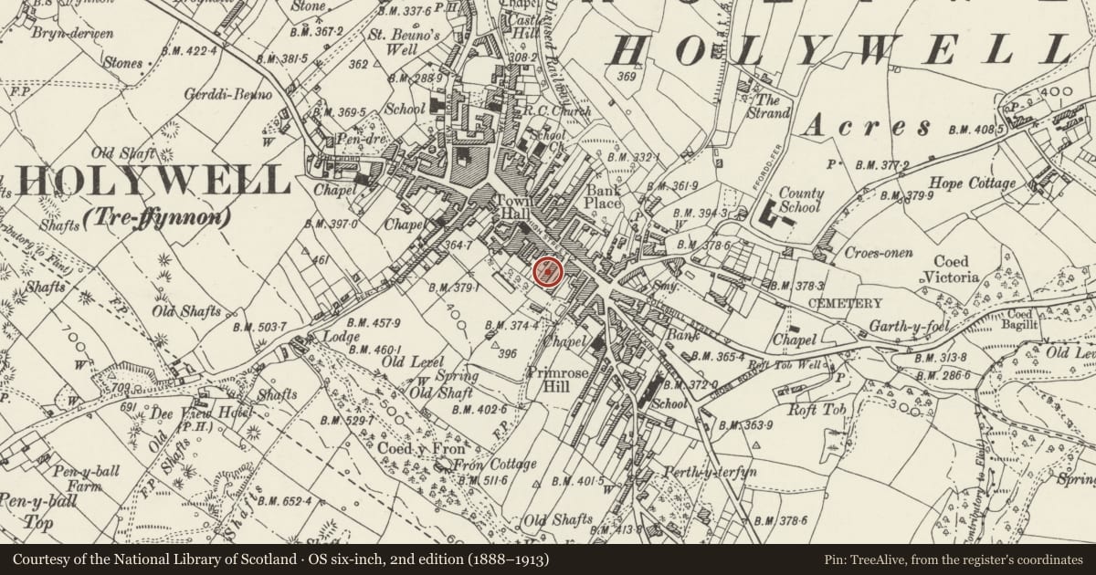 Ordnance Survey six-inch map, 2nd edition (1888–1913) covering the location of 23 Panton Place, Holywell, Flintshire, with a pin at the register's coordinates