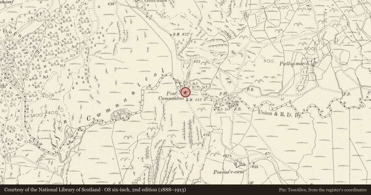 Ordnance Survey six-inch map, 2nd edition (1888–1913) covering the location of Pont Cwmnantcol, Llanbedr, Gwynedd, with a pin at the register's coordinates