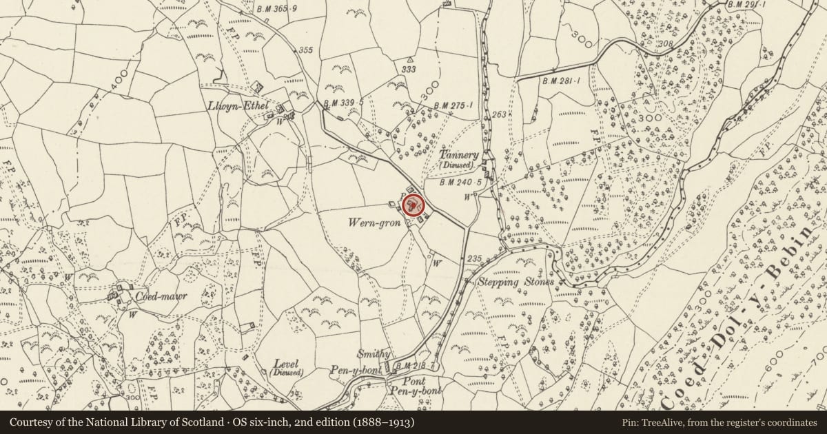 Ordnance Survey six-inch map, 2nd edition (1888–1913) covering the location of Wern Gron Farmhouse, Llanbedr, Gwynedd, with a pin at the register's coordinates
