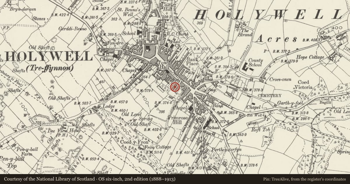 Ordnance Survey six-inch map, 2nd edition (1888–1913) covering the location of 24 Panton Place, Holywell, Flintshire, with a pin at the register's coordinates